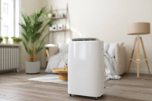 Best HVAC cleaning services  in International Falls, MN